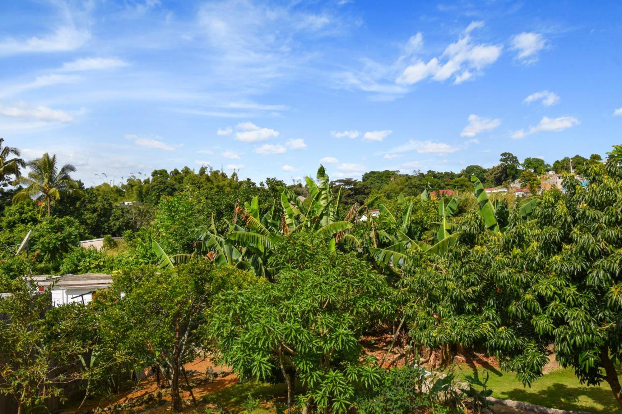 Ferienwohnung Harriott Heights Mandeville Exterior foto